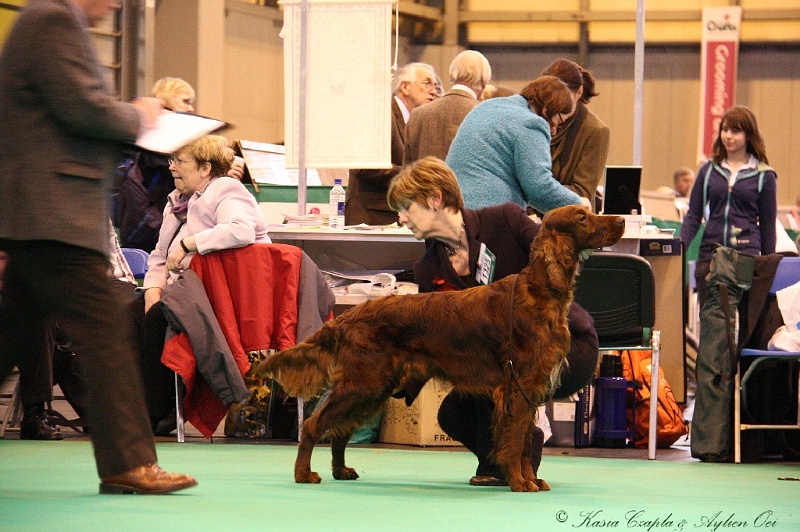 Crufts2011_2 147.jpg